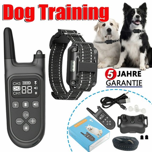 Elektroschock pet dog - pet,