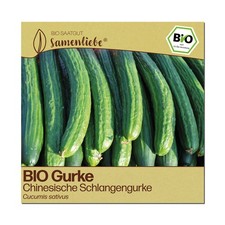 BIO Gurken Samen Chinesische
