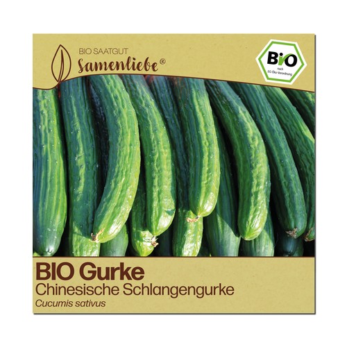 Bio gurken samen chinesische - gurken,