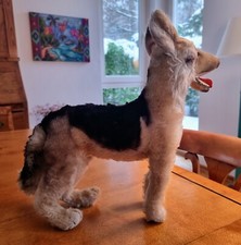 STEIFF-SCHÄFERHUND ARCO-1957-STEHEND-RARITÄT 