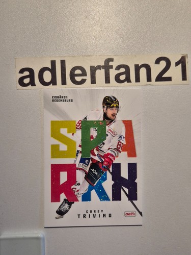 Del2 2025 2026 - 2025-2026, eisbären