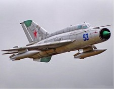 Freewing MiG 21 EPO 800mm
