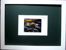 BERND ZIMMER >Mare Mosso< HAND-SIGNIERT, dat.,20x15,Multiple, Rahmen,orig.signed