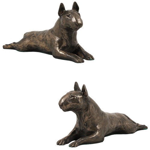 Bullterrier - bullterrier, iv