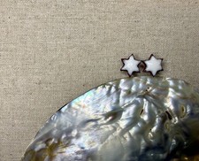 Zimtstern Ohrringe – Mini