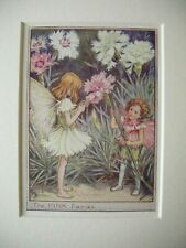Vintage Flower Fairies Print & Mount The Pink Fairies Cicely Mary Barker c1930's
