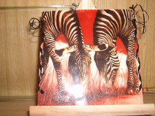 Servietten Windlicht  Afrika  Zebra  grasende Zebras  Savanne  Steppe