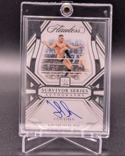 2024 panini wwe - 2024, flawless