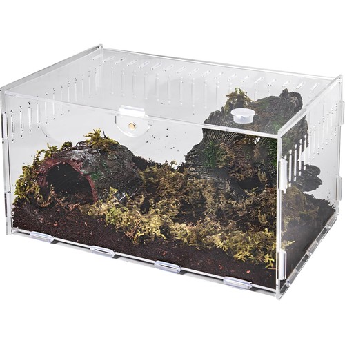 Terrarium reptil insekten - terrarium,