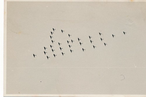 Foto legion condor - foto,