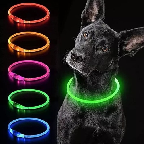 Leuchthalsband hund usb - leuchthalsband,