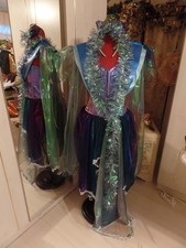 Kostüm Polarlichtfee/Elfe