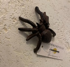 Gusseisen Spinne Frosch