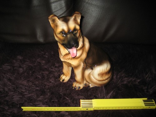 Schäfer hund deutscher - schäfer,