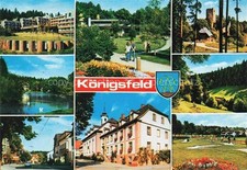 Koenigsfeld  Baden Schwarzwald BW Albert Schweitzer Klinik Kurpark Ruine Waldau 