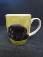Tasse Hund