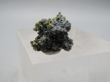 RARITÄT Borcarit  San Bartolo