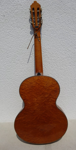 Gitarre vogelaugenahorn schild - gitarre,