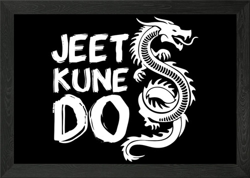 Jeet kune kampfsport - jeet,
