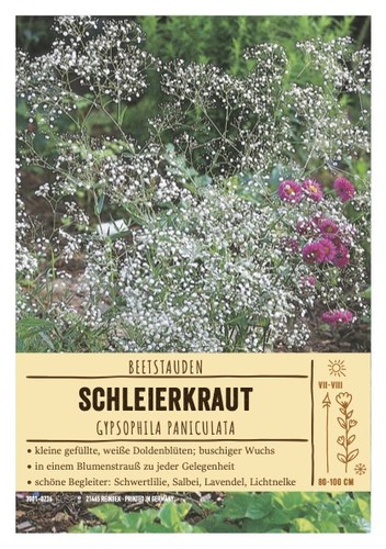 Gypsophila paniculata - ,