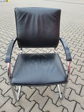 Thonet Freischwinger