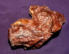 Stein-Meteorit Dhofar 276