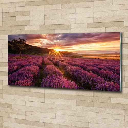 Acrylglas bild wandbilder - acrylglas-bild,