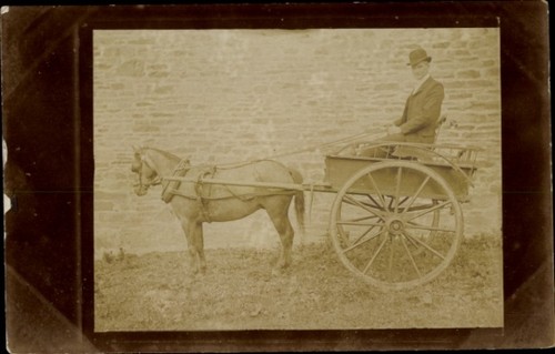Foto droschke pferd - droschke,,