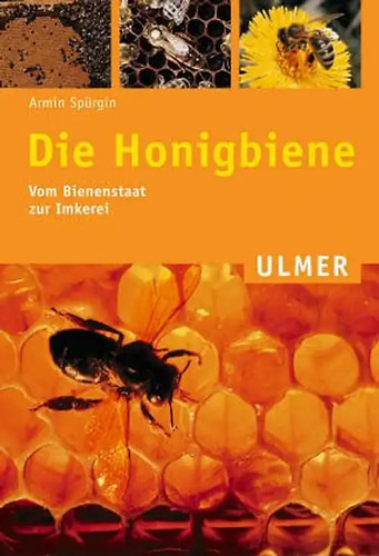 Die honigbiene vom - die, honigbiene.