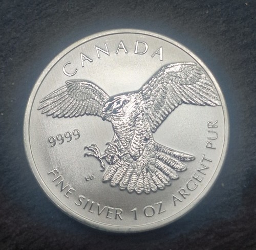 2014 silber birds of prey - 2014,