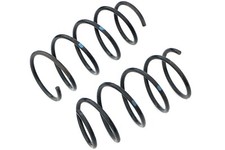 2 vordere Serien Federn BMW