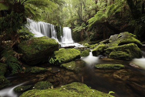 Grüner wasserfall wald bäume - grüner,