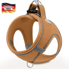 Hundegeschirr kleiner Hunde