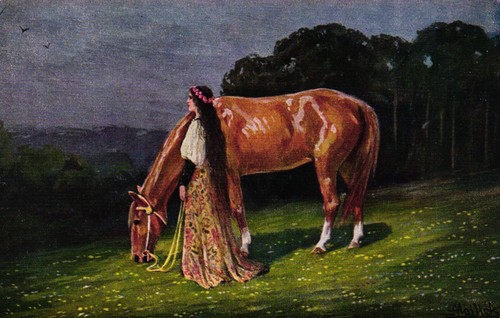 Dame mit pferd abendsonne - pferd, "abendsonne"
