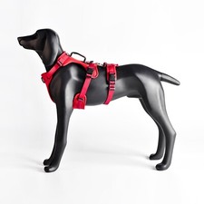 BlueGuard Sicherheitsgeschirr