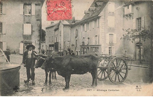 Cantal dc061 - cantal, af#dc061