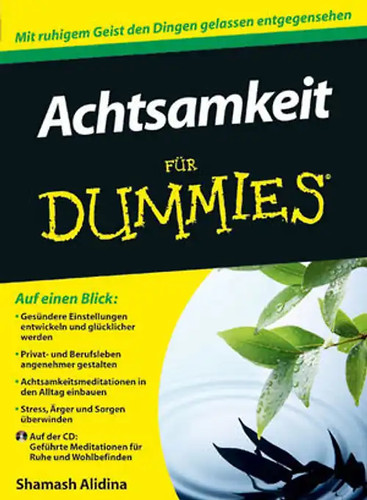 Achtsamkeit für dummies - achtsamkeit,