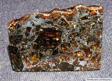 Scheibe Meteorit Pallasit Admire, Kansas, USA, 32x24x3mm 9,0g