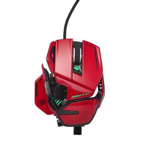 8 adv voll - 8+,