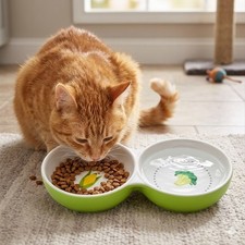 Doppel futternapf keramik - keramik, –