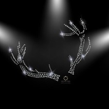 Hotfix Strass Applikation