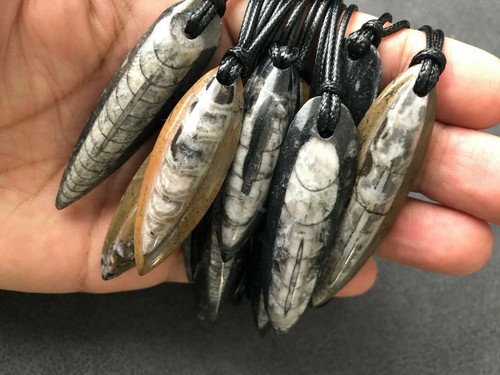 Fossil anhänger orthoceras - anhänger,