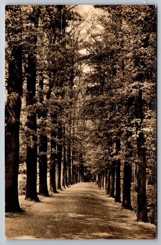 Postkarte crimmitschau waldweg - postkarte,