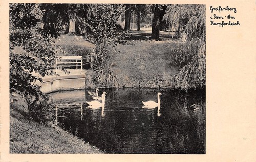 791337 am karpfenteich - 791337), ak