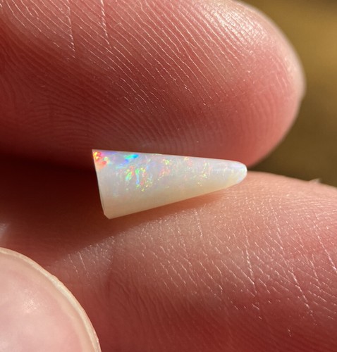 Coober pedy fossiler opal - coober,