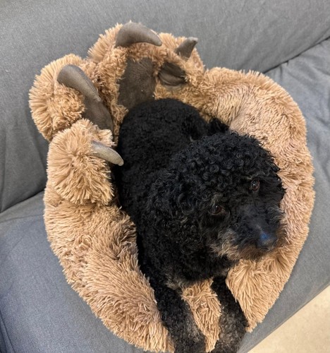 Kuscheliges hundebett rund aus - kuscheliges,
