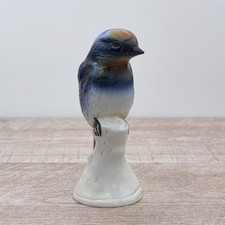 Porzellan Rauchschwalbe –