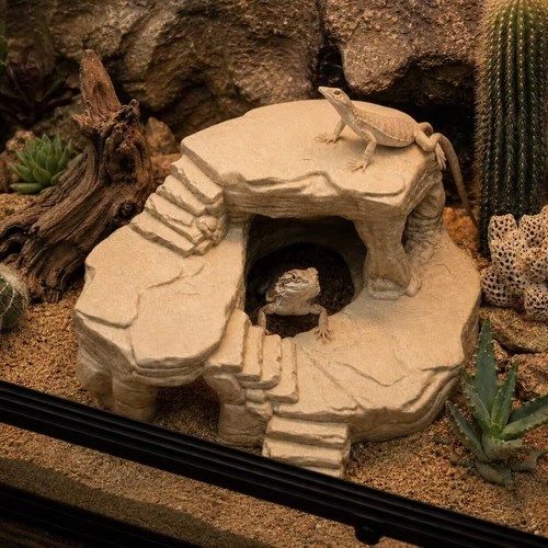 Reptile basking rock - basking,