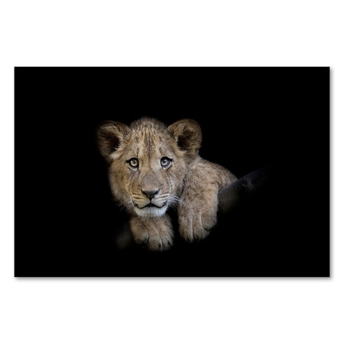 Postereck 3918 poster leinwand - postereck,