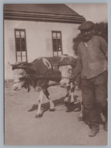 Lindig 1930 landwirt - lindig,